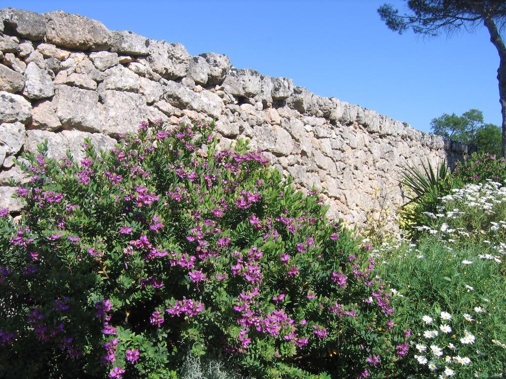Masseria Pagani Nardò المظهر الخارجي الصورة