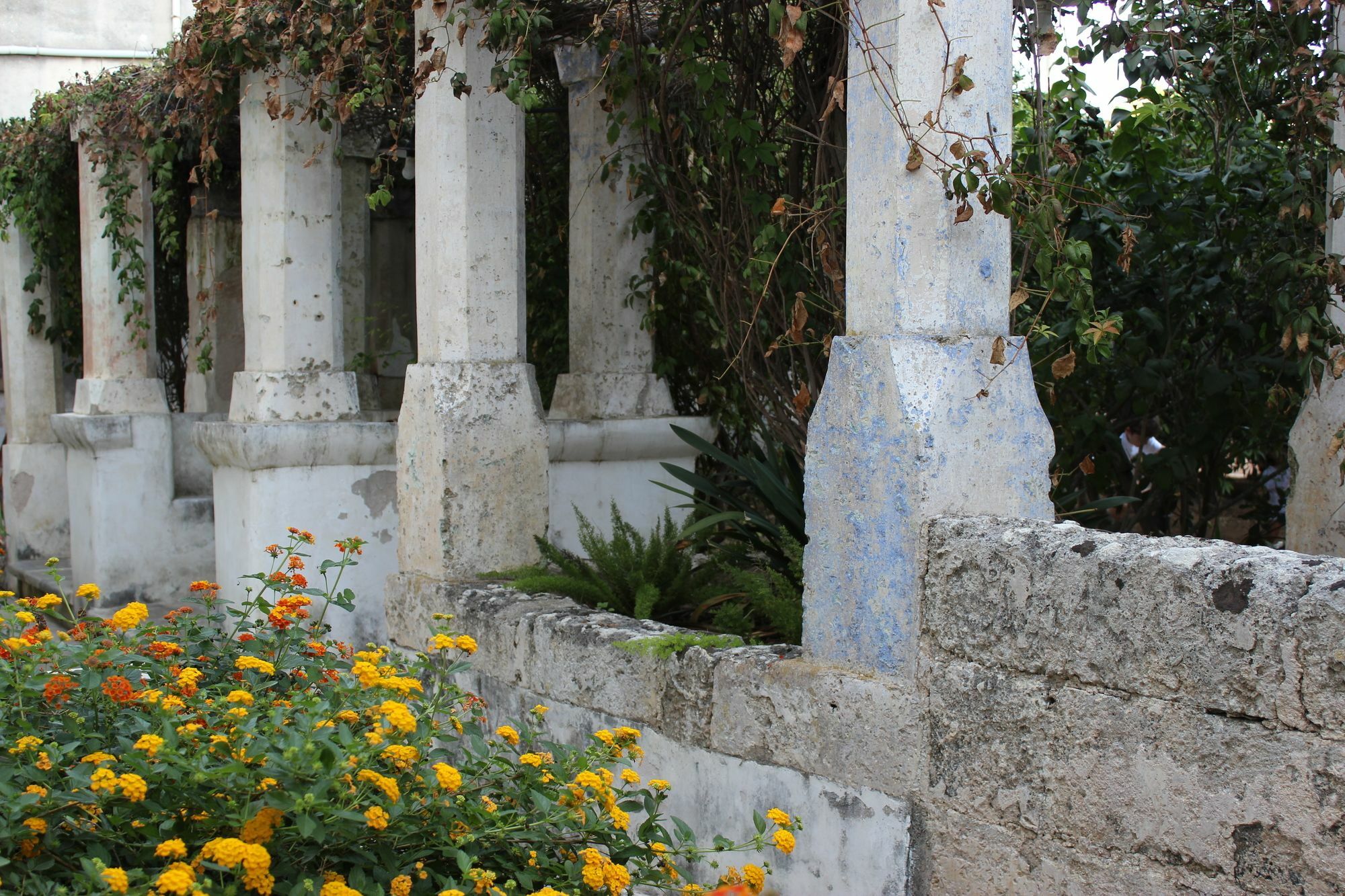 Masseria Pagani Nardò المظهر الخارجي الصورة