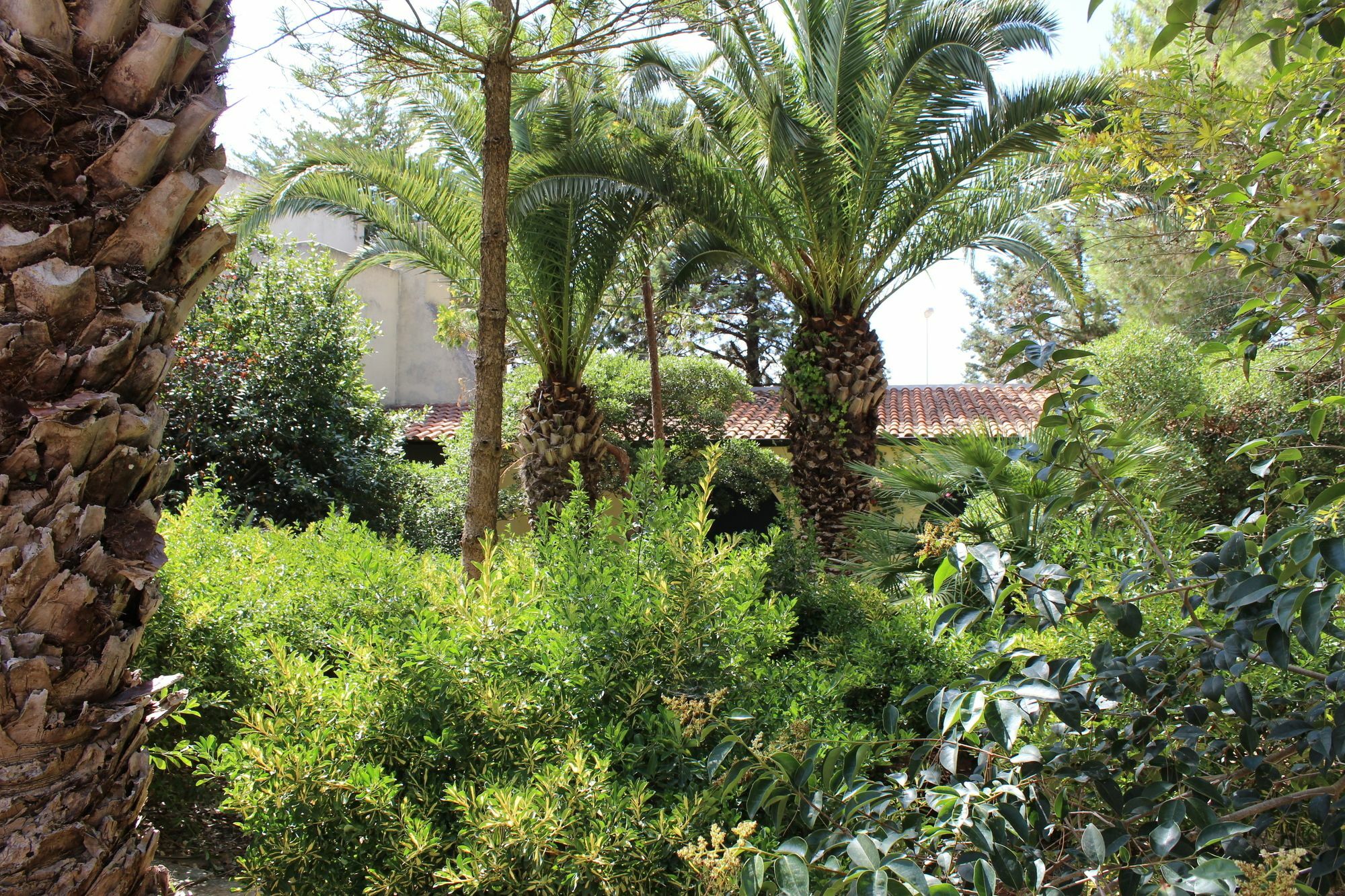 Masseria Pagani Nardò المظهر الخارجي الصورة